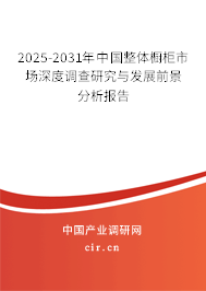2025-2031年中國整體櫥柜市場深度調(diào)查研究與發(fā)展前景分析報告 2025-2031年中國整體櫥柜市場深度調(diào)查研究與發(fā)展前景分析報告