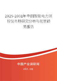 2025-2031年中國(guó)智能電力測(cè)控儀市場(chǎng)研究分析與前景趨勢(shì)報(bào)告