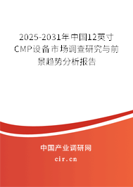 2025-2031年中國12英寸CMP設備市場調(diào)查研究與前景趨勢分析報告