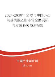 2024-2030年全球與中國3-乙氧基丙酸乙酯市場全面調研與發(fā)展趨勢預測報告