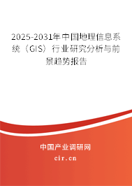 2025-2031年中國(guó)地理信息系統(tǒng)（GIS）行業(yè)研究分析與前景趨勢(shì)報(bào)告
