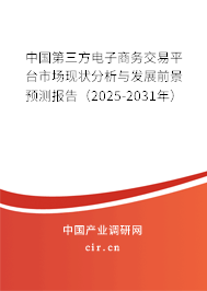 中國第三方電子商務(wù)交易平臺市場現(xiàn)狀分析與發(fā)展前景預(yù)測報告(2025-2031年) 中國第三方電子商務(wù)交易平臺市場現(xiàn)狀分析與發(fā)展前景預(yù)測報告(2025-2031年)