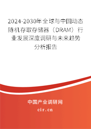 2024-2030年全球與中國(guó)動(dòng)態(tài)隨機(jī)存取存儲(chǔ)器（DRAM）行業(yè)發(fā)展深度調(diào)研與未來趨勢(shì)分析報(bào)告