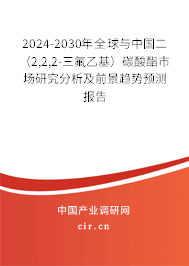 2024-2030年全球與中國二（2,2,2-三氟乙基）碳酸酯市場研究分析及前景趨勢預測報告