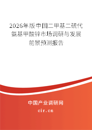 2024年版中國(guó)二甲基二硫代氨基甲酸鋅市場(chǎng)調(diào)研與發(fā)展前景預(yù)測(cè)報(bào)告