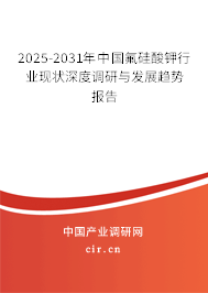 2025-2031年中國氟硅酸鉀行業(yè)現(xiàn)狀深度調(diào)研與發(fā)展趨勢報告