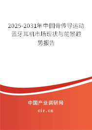 2025-2031年中國(guó)骨傳導(dǎo)運(yùn)動(dòng)藍(lán)牙耳機(jī)市場(chǎng)現(xiàn)狀與前景趨勢(shì)報(bào)告