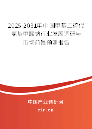 2025-2031年中國(guó)甲基二硫代氨基甲酸鈉行業(yè)發(fā)展調(diào)研與市場(chǎng)前景預(yù)測(cè)報(bào)告