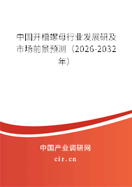 中國開槽螺母行業(yè)發(fā)展研及市場前景預測（2026-2032年）