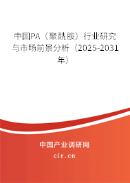 中國PA（聚酰胺）行業(yè)研究與市場前景分析（2025-2031年）