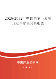 2026-2032年中國青蘿卜發(fā)展現(xiàn)狀與前景分析報告