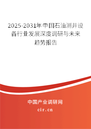 2025-2031年中國石油測井設備行業(yè)發(fā)展深度調研與未來趨勢報告