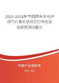 2025-2031年中國鐵合金電爐煤氣行業(yè)現(xiàn)狀研究分析及發(fā)展趨勢預(yù)測報(bào)告 2025-2031年中國鐵合金電爐煤氣行業(yè)現(xiàn)狀研究分析及發(fā)展趨勢預(yù)測報(bào)告