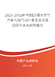 2025-2031年中國(guó)壓縮天然氣汽車(chē)與加氣站行業(yè)發(fā)展深度調(diào)研與未來(lái)趨勢(shì)報(bào)告