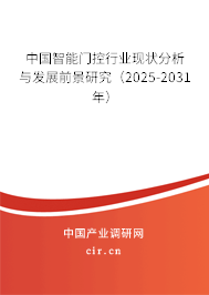 中國智能門控行業(yè)現(xiàn)狀分析與發(fā)展前景研究（2025-2031年）