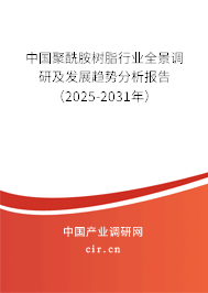 中國(guó)聚酰胺樹脂行業(yè)全景調(diào)研及發(fā)展趨勢(shì)分析報(bào)告（2025-2031年）