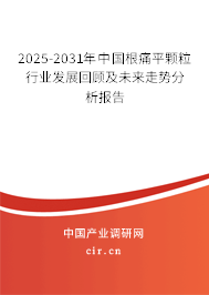 2025-2031年中國根痛平顆粒行業(yè)發(fā)展回顧及未來走勢分析報告 2025-2031年中國根痛平顆粒行業(yè)發(fā)展回顧及未來走勢分析報告