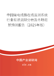 中國輸電線路在線監(jiān)測系統(tǒng)行業(yè)現(xiàn)狀調(diào)研分析及市場前景預(yù)測報告(2025年版) 中國輸電線路在線監(jiān)測系統(tǒng)行業(yè)現(xiàn)狀調(diào)研分析及市場前景預(yù)測報告(2025年版)