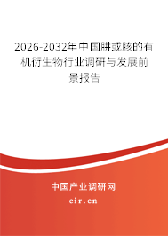 2026-2032年中國肼或胲的有機衍生物行業(yè)調(diào)研與發(fā)展前景報告
