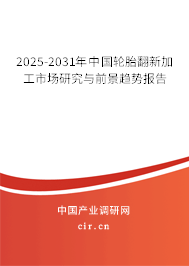 2025-2031年中國輪胎翻新加工市場研究與前景趨勢報告