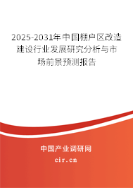 2025-2031年中國(guó)棚戶區(qū)改造建設(shè)行業(yè)發(fā)展研究分析與市場(chǎng)前景預(yù)測(cè)報(bào)告