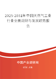 2025-2031年中國天然氣工業(yè)行業(yè)全面調(diào)研與發(fā)展趨勢報告