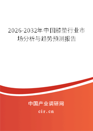 2026-2032年中國膝墊行業(yè)市場分析與趨勢預測報告