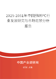2025-2031年中國預(yù)制PC行業(yè)發(fā)展研究與市場前景分析報告