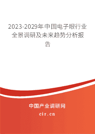 2023-2029年中國電子眼行業(yè)全景調(diào)研及未來趨勢分析報(bào)告