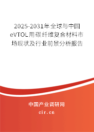2025-2031年全球與中國eVTOL用碳纖維復(fù)合材料市場現(xiàn)狀及行業(yè)前景分析報(bào)告