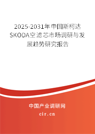 2025-2031年中國(guó)斯柯達(dá)SKODA空濾芯市場(chǎng)調(diào)研與發(fā)展趨勢(shì)研究報(bào)告