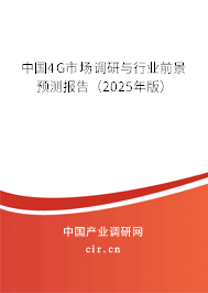 中國4G市場(chǎng)調(diào)研與行業(yè)前景預(yù)測(cè)報(bào)告（2025年版）
