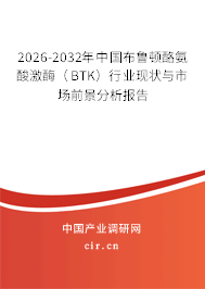 2026-2032年中國布魯頓酪氨酸激酶（BTK）行業(yè)現(xiàn)狀與市場前景分析報告