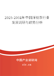 2025-2031年中國浮艇泵行業(yè)發(fā)展調研與趨勢分析