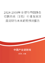 2024-2030年全球與中國(guó)靜態(tài)切換系統(tǒng)（STS）行業(yè)發(fā)展深度調(diào)研與未來(lái)趨勢(shì)預(yù)測(cè)報(bào)告