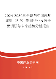2024-2030年全球與中國就地成型（FIP）墊圈行業(yè)發(fā)展全面調(diào)研與未來趨勢分析報告