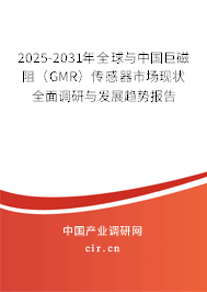 2025-2031年全球與中國巨磁阻（GMR）傳感器市場現(xiàn)狀全面調(diào)研與發(fā)展趨勢報告