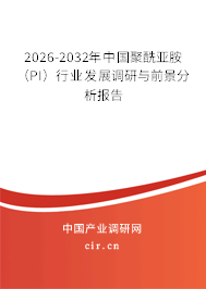 2026-2032年中國聚酰亞胺（PI）行業(yè)發(fā)展調(diào)研與前景分析報告