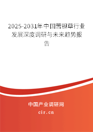 2025-2031年中國苦膽草行業(yè)發(fā)展深度調(diào)研與未來趨勢報(bào)告 2025-2031年中國苦膽草行業(yè)發(fā)展深度調(diào)研與未來趨勢報(bào)告