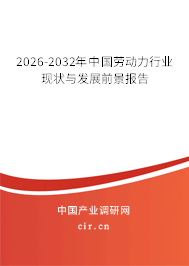 2026-2032年中國勞動(dòng)力行業(yè)現(xiàn)狀與發(fā)展前景報(bào)告