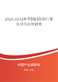 2026-2032年中國閃存盤行業(yè)現(xiàn)狀與前景趨勢