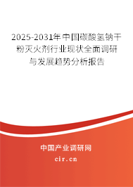 2025-2031年中國碳酸氫鈉干粉滅火劑行業(yè)現(xiàn)狀全面調(diào)研與發(fā)展趨勢分析報告