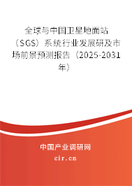 全球與中國(guó)衛(wèi)星地面站（SGS）系統(tǒng)行業(yè)發(fā)展研及市場(chǎng)前景預(yù)測(cè)報(bào)告（2025-2031年）