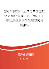 2024-2030年全球與中國虛擬化多租戶數(shù)據(jù)中心（VMDC）市場深度調(diào)研與發(fā)展趨勢分析報告