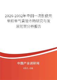 2026-2032年中國(guó)一次性使用單腔單氣囊管市場(chǎng)研究與發(fā)展前景分析報(bào)告