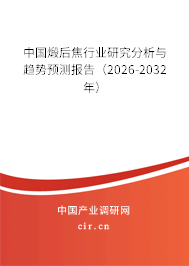 中國煅后焦行業(yè)研究分析與趨勢預測報告（2026-2032年）