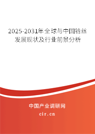 2025-2031年全球與中國(guó)鉿絲發(fā)展現(xiàn)狀及行業(yè)前景分析