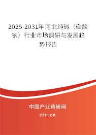 2025-2031年河北純堿(碳酸鈉)行業(yè)市場調(diào)研與發(fā)展趨勢報(bào)告 2025-2031年河北純堿(碳酸鈉)行業(yè)市場調(diào)研與發(fā)展趨勢報(bào)告