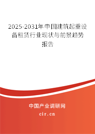 2025-2031年中國(guó)建筑起重設(shè)備租賃行業(yè)現(xiàn)狀與前景趨勢(shì)報(bào)告