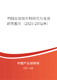 中國金屬鈉市場研究與發(fā)展趨勢報(bào)告（2025-2031年）